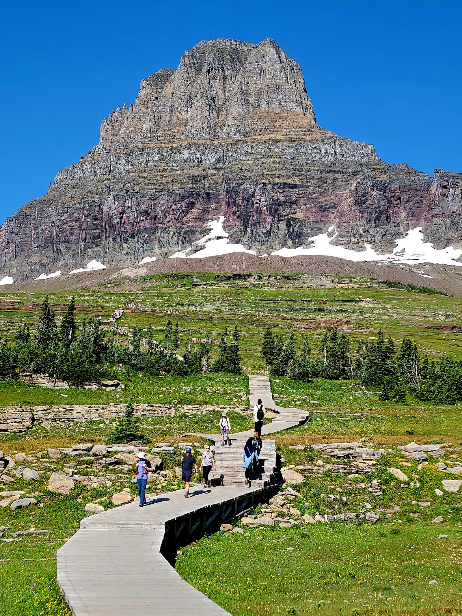 Hidden Lake boardwalk in Glacier National Park winds through alpine meadow toward rugged mountain peaks.
