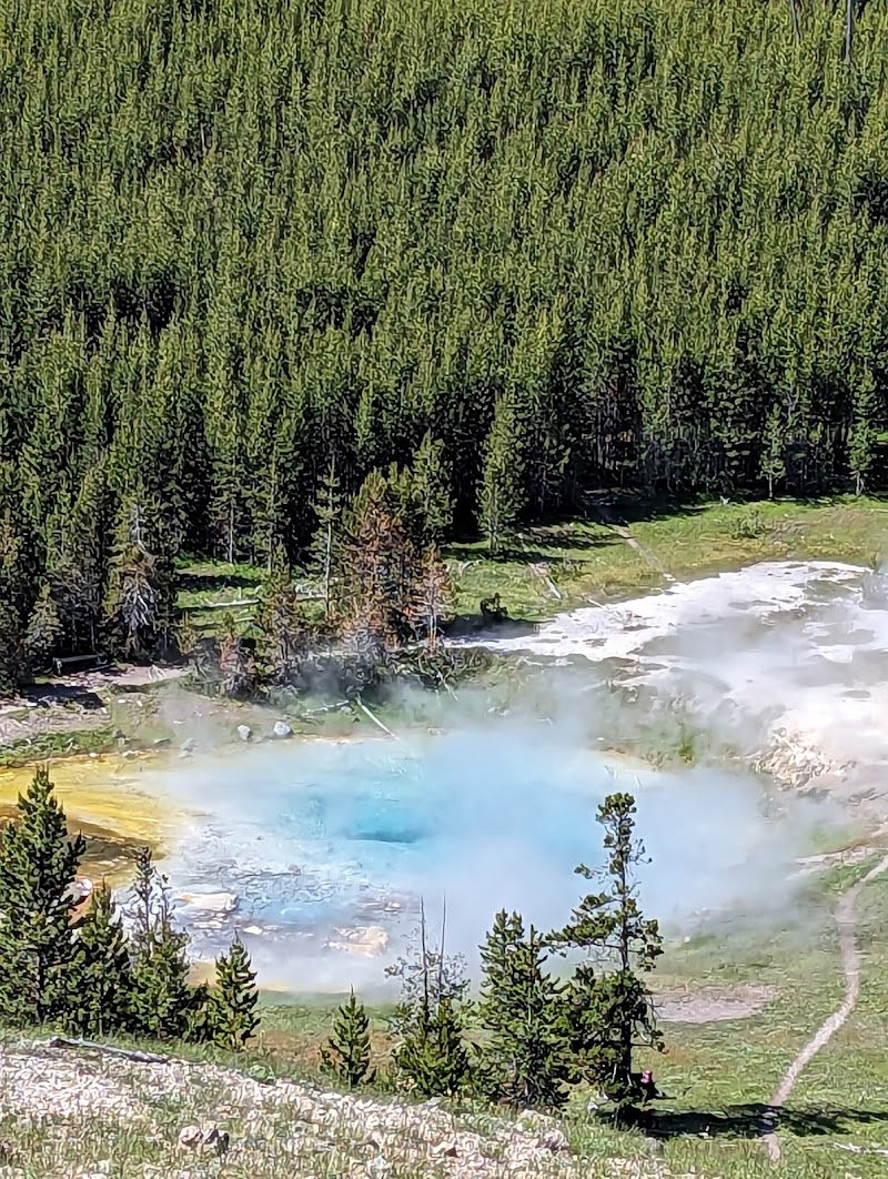 Bright blue geothermal pool with mineral rims and steam, beside a pine forest and grassy trail in Yellowstone National Park.