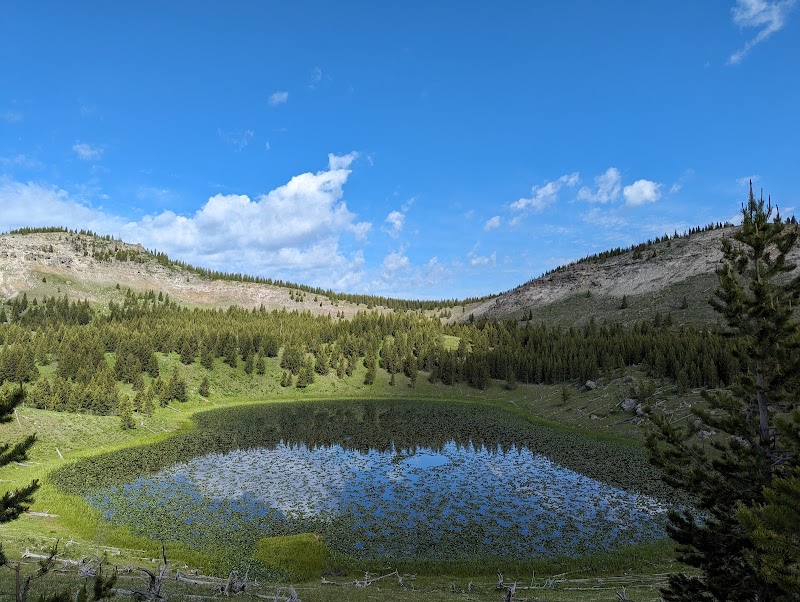 Circular alpine pond with grassy margins, pine forest on rolling hills, and a blue sky over Yellowstone National Park.