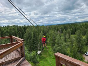 Zipline rider suspended over Glacier National Park forest canopy on a Glacier Ziplines course.