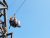 Glacier National Park zipline platform with riders wearing helmets and harnesses against a clear blue sky.