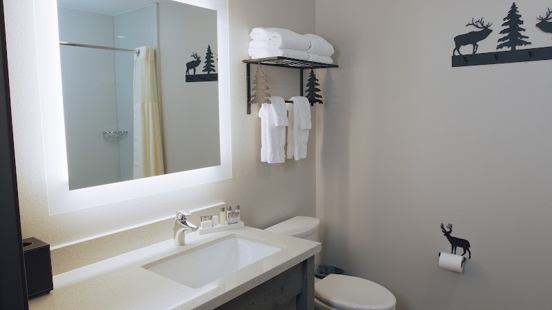 Modern hotel bathroom in Yellowstone National Park with backlit mirror, white vanity, towels, and deer wall decor.