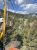 Riders zipline above a forested valley in Yellowstone National Park, with distant mountains and blue sky.
