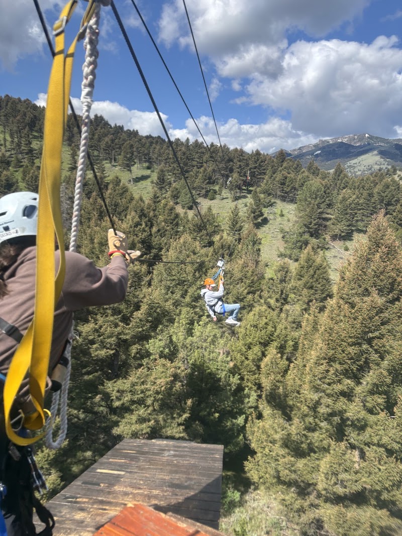 Two riders wearing helmets zip along a high line over a pine forest toward a wooden platform in Yellowstone National Park.