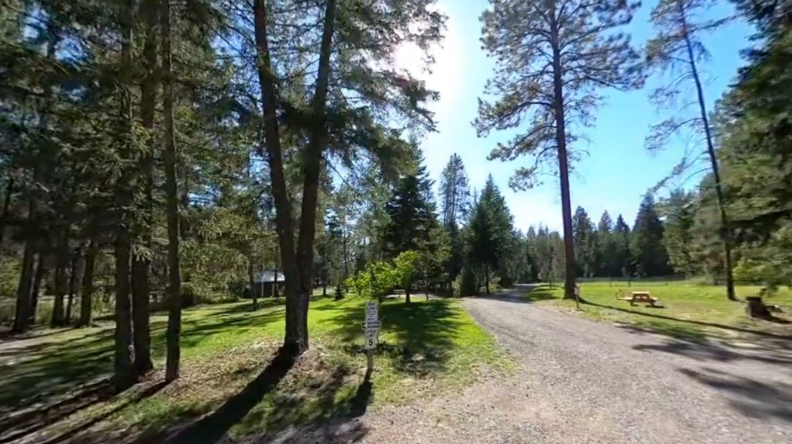 Whispering Pines RV Park at Glacier National Park features a gravel road winding through a shaded campground amid tall pines.
