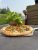 Outdoor dining near Glacier National Park with a fresh basil plant, hot pizza, and condiments on a sunny table.