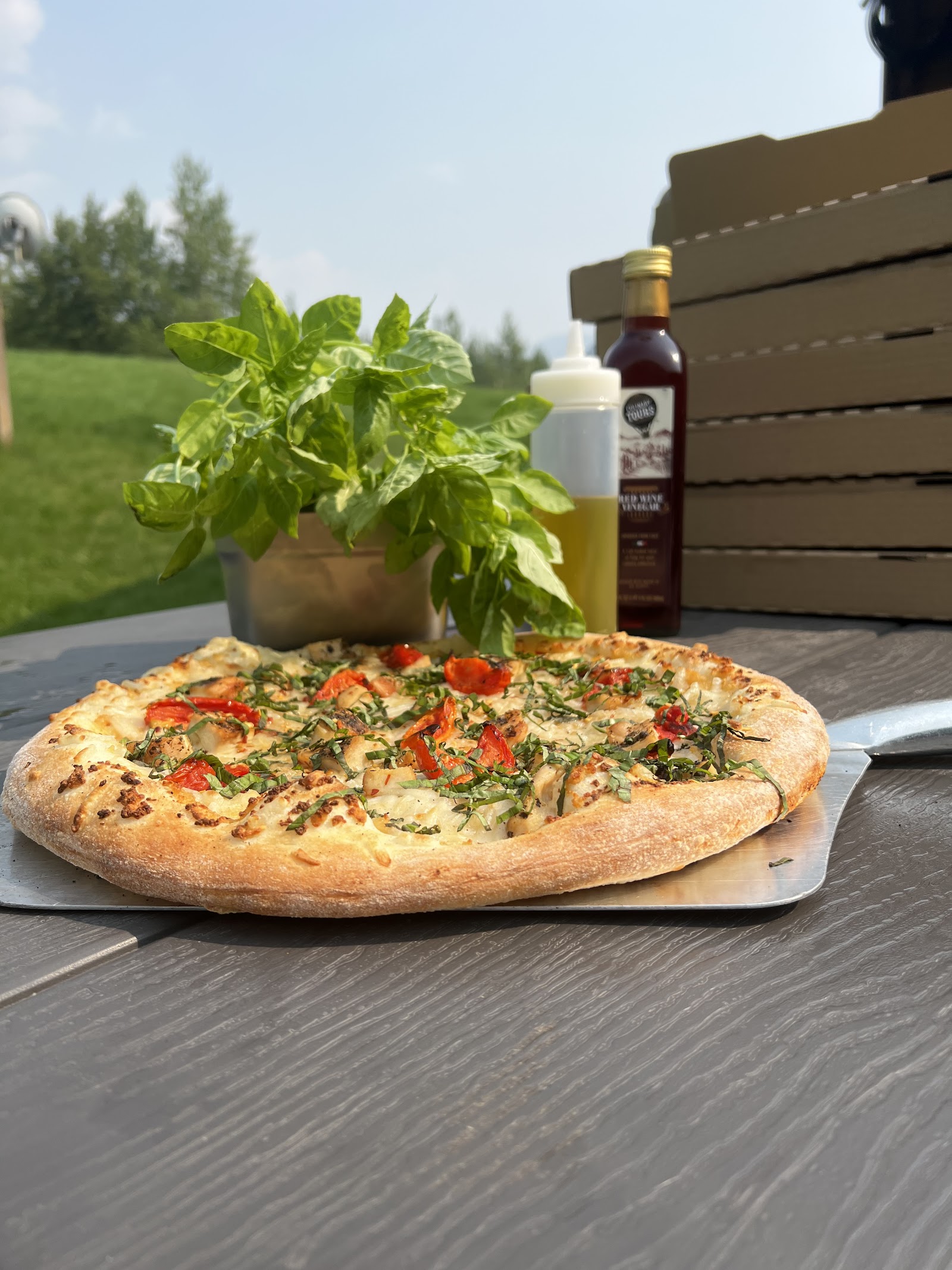 Outdoor dining near Glacier National Park with a fresh basil plant, hot pizza, and condiments on a sunny table.