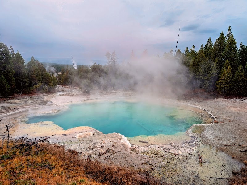Turquoise hot spring pool with mineral crust, steam rising, encircled by pines in Norris Basin, Yellowstone National Park.
