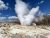 Steam rises from Norris Back Basin's hot spring on rocky ground, with a pine forest and blue sky in Yellowstone National Park