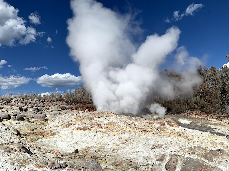 Steam rises from Norris Back Basin's hot spring on rocky ground, with a pine forest and blue sky in Yellowstone National Park