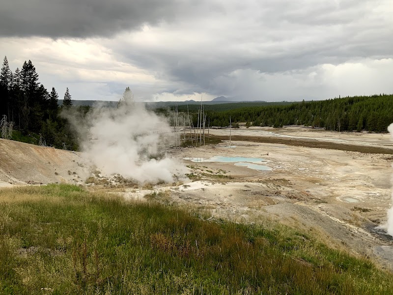 Steam plumes rise from a barren geothermal basin at Norris Back Basin, Yellowstone National Park, with pine forest nearby.