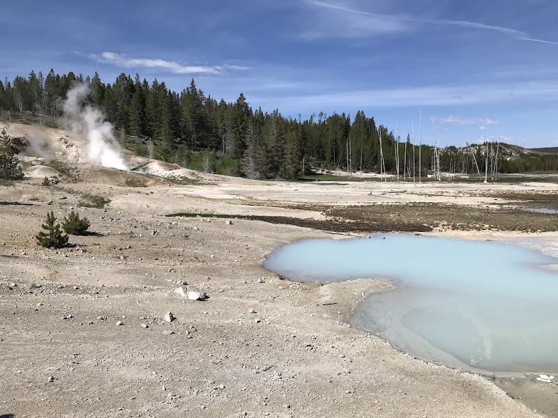 Steam vents rise from a pale blue hot spring in a barren basin, with pine forest and distant sailboat masts in Yellowstone National Park.