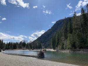 Avalanche Creek Picnic Area along Glacier National Park’s forested riverbank beneath a towering mountain.