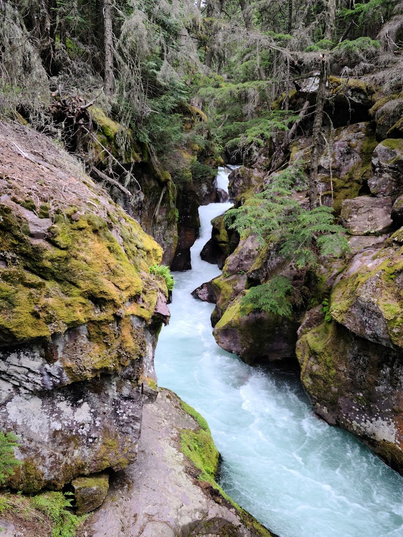Avalanche Creek winds through moss-covered canyon walls at Avalanche Creek Picnic Area, Glacier National Park.