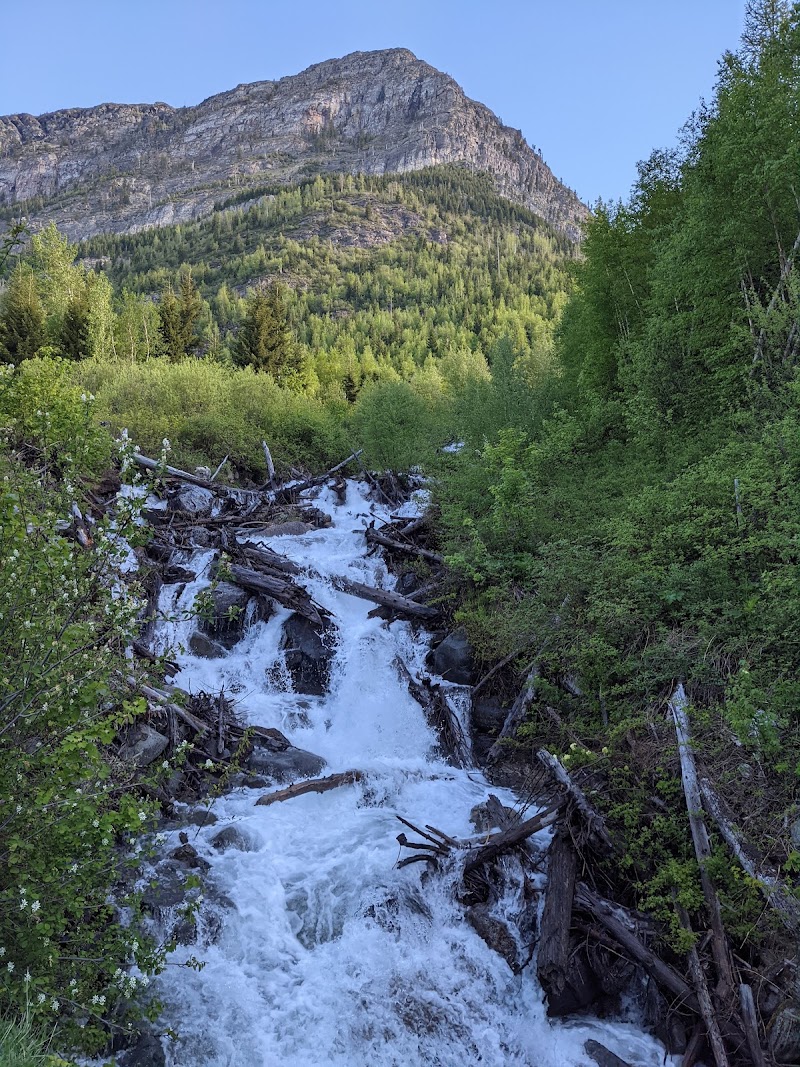 Avalanche Creek flows through a rocky, log-strewn ravine at the Avalanche Creek Picnic Area in Glacier National Park.