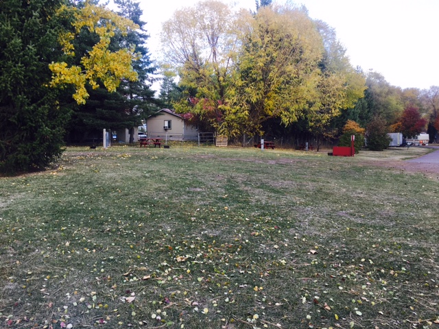 Grassy campground with fallen leaves, a small beige cabin, and autumn trees along a road in Glacier National Park.
