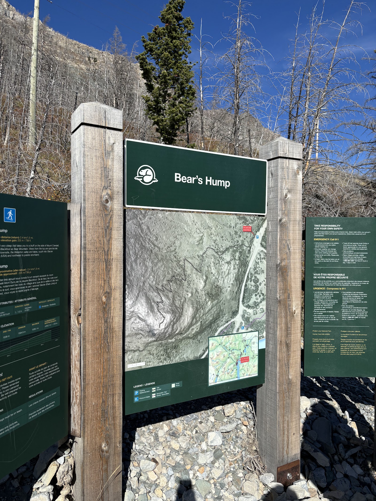 Bear's Hump Trailhead sign at Glacier National Park, with large map boards and bare trees.