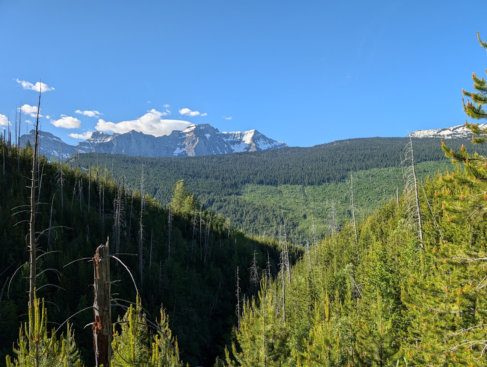 The Loop Trailhead in Glacier National Park offers a sweeping alpine valley with snow-capped peaks under a clear blue sky.
