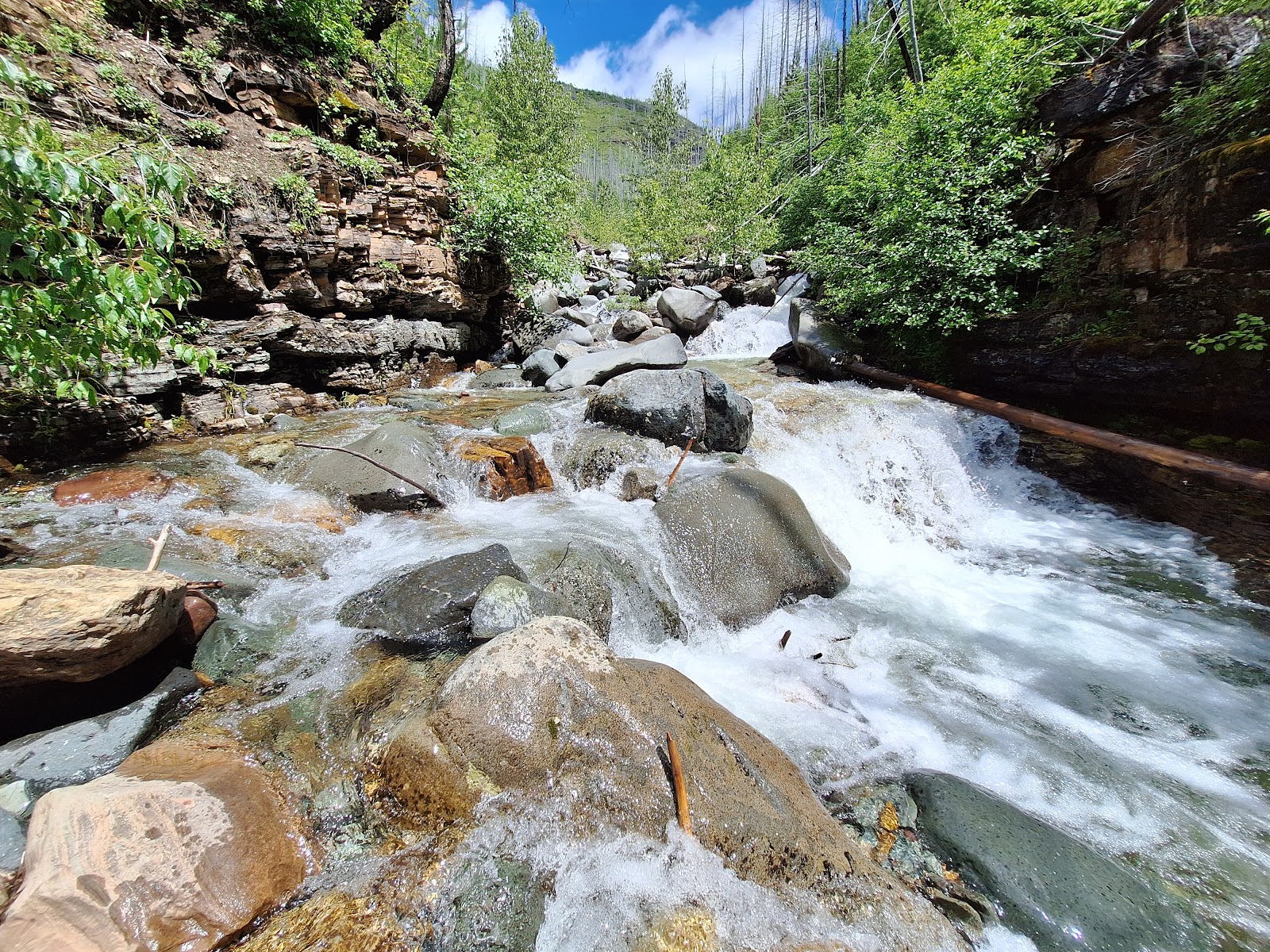 Loop Trailhead in Glacier National Park threads through a rocky, cascading stream with lush green walls.
