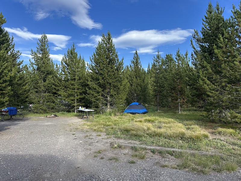 Blue tent on a grassy campsite among pine trees in Yellowstone National Park, with a table and bikes nearby.