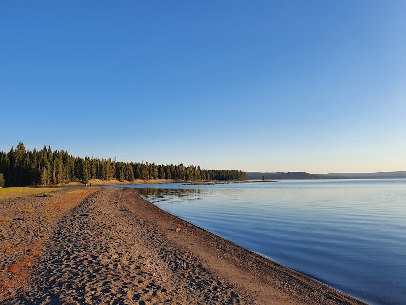 Yellowstone National Park shoreline with a sandy beach, calm blue lake, and pine forest under a clear sky.