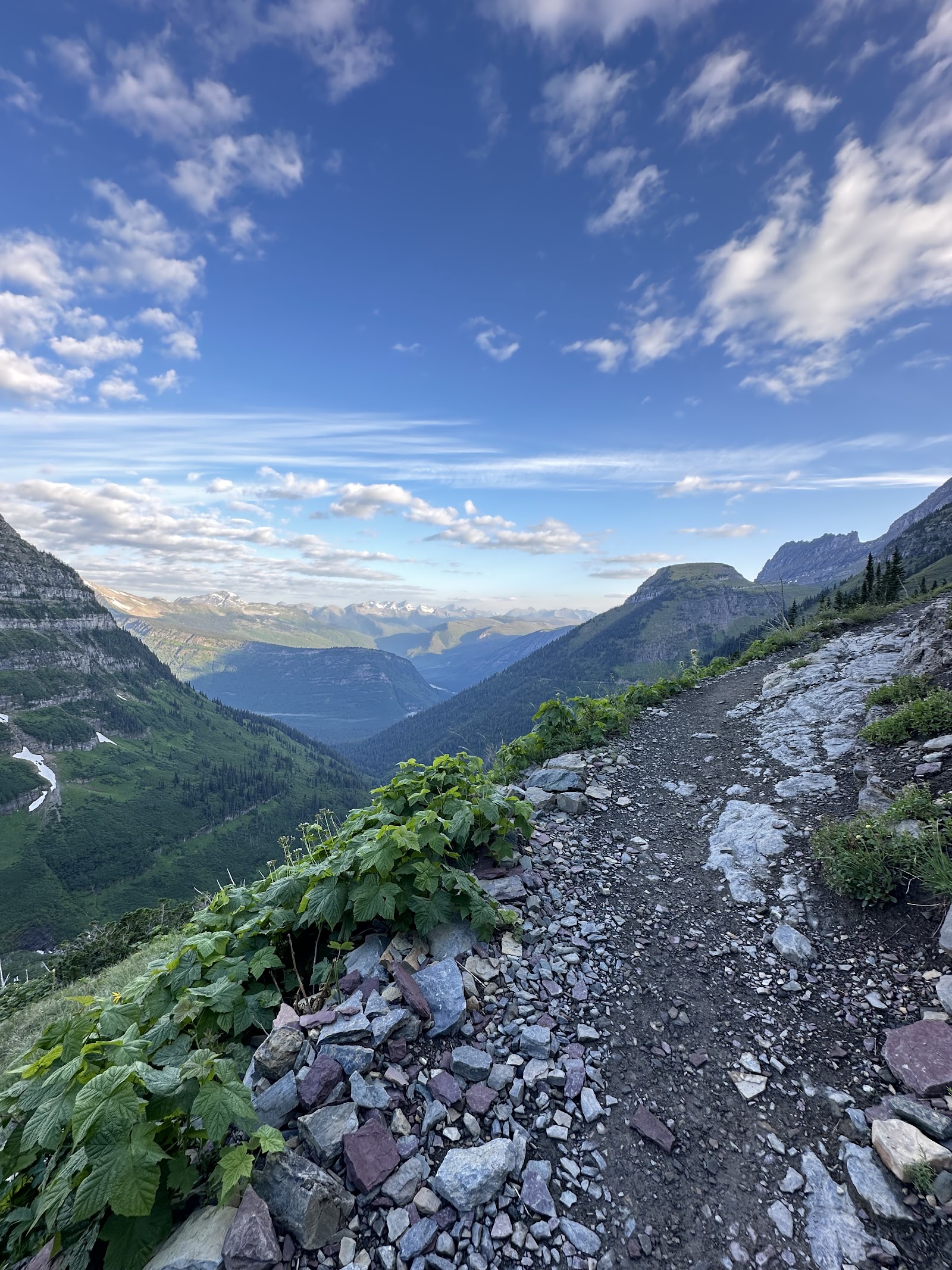 Highline Trailhead overlook along Glacier National Park's rugged ridgeline with wildflowers and distant peaks.