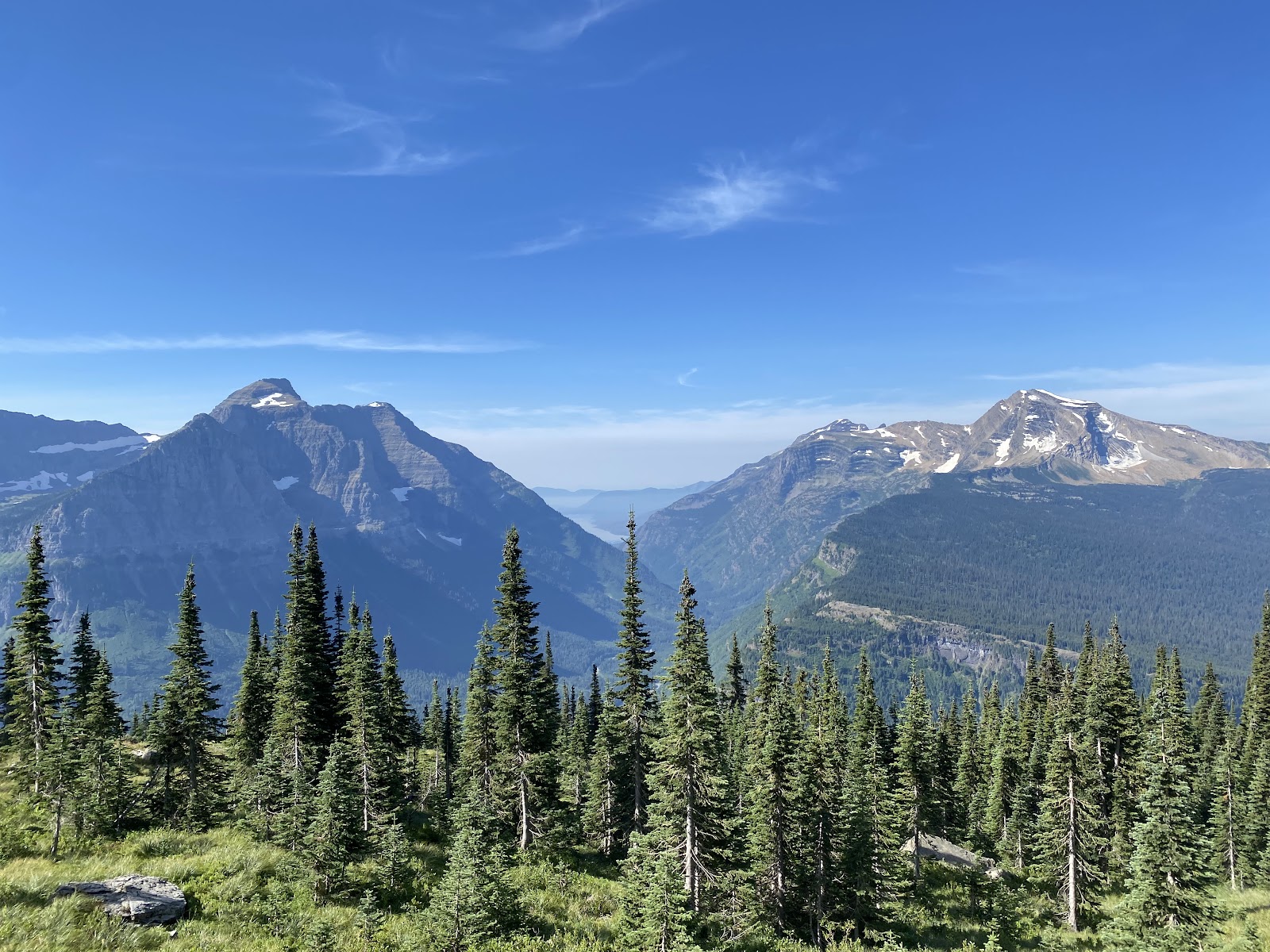 Highline Trailhead overlook in Glacier National Park with jagged alpine peaks and evergreen trees under a clear blue sky.