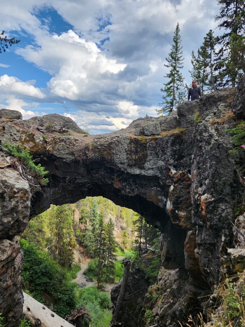 Natural Bridge Yellowstone