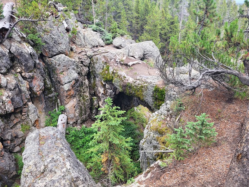 Rocky natural bridge arches over a forested, mossy gorge in Yellowstone National Park, with pines and rugged cliffs.