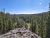 Overlook shows a dense pine forest stretching across a grassy valley with distant mountains under a bright blue sky in Yellowstone National Park.