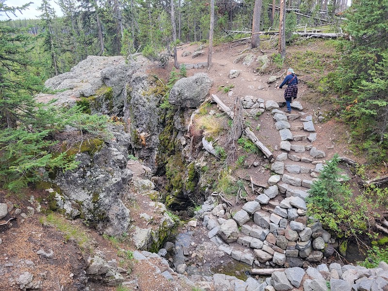 A hiker walks a stone stairway along a rocky ravine with mossy boulders and conifer trees in Yellowstone National Park.