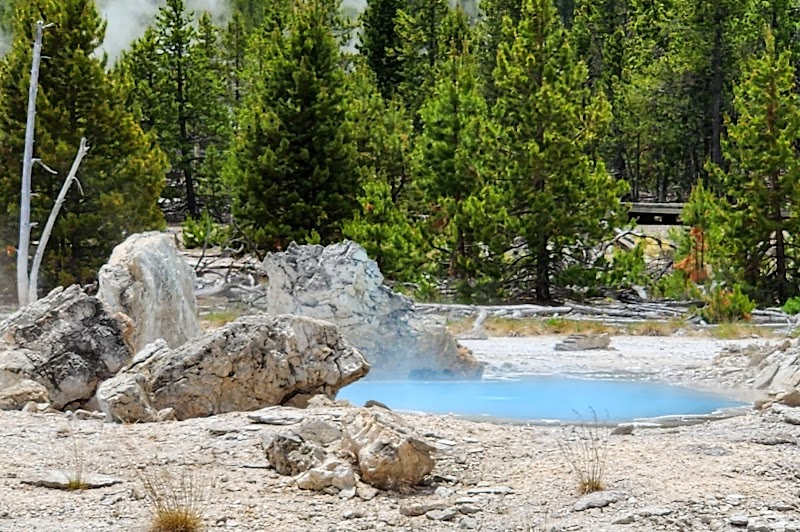 A blue steaming geothermal pool bordered by gray rocks on a gravel meadow with pine trees in Yellowstone National Park.