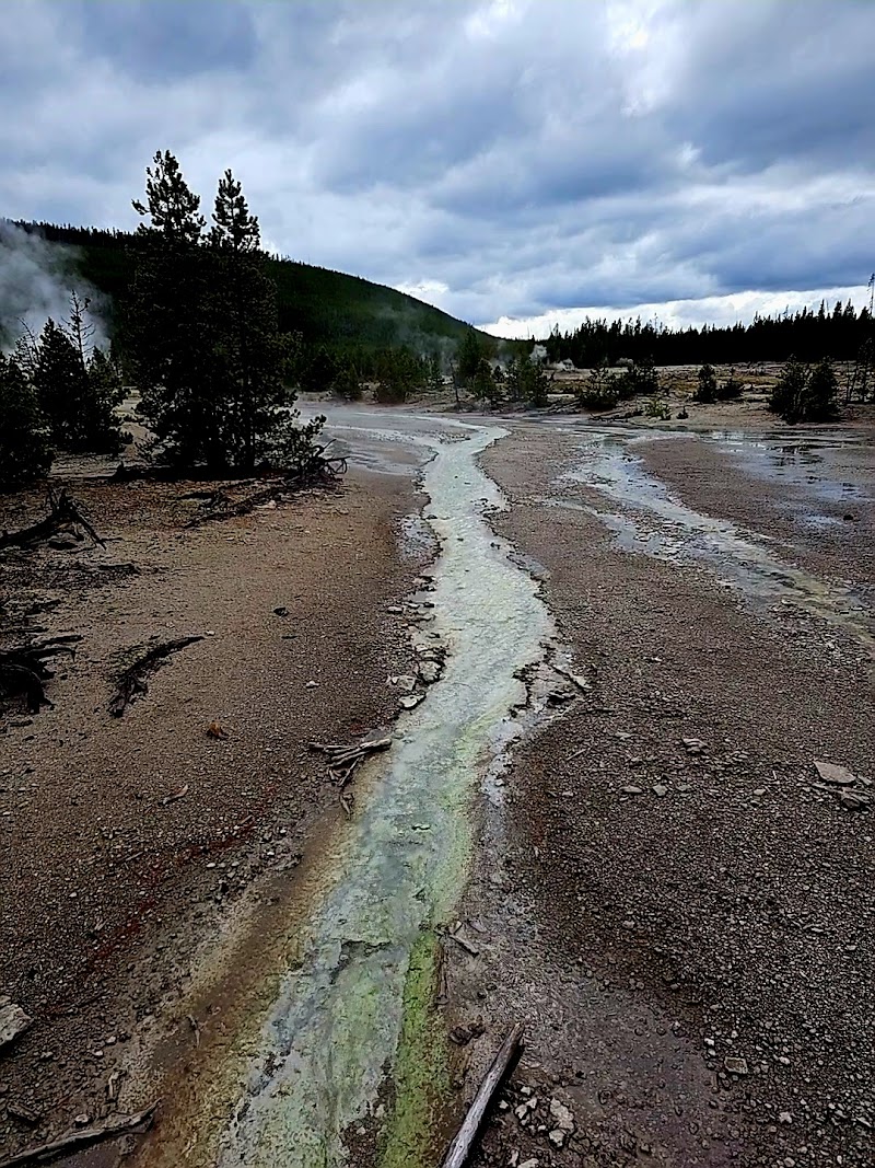 Pale blue-green mineral runoff winds through a barren, rocky plain with pines under cloudy skies in Yellowstone National Park.