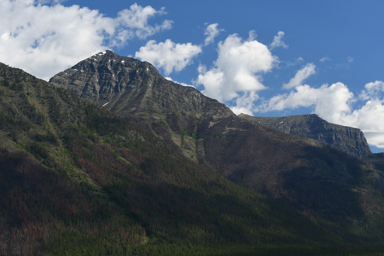 Mount Vaught rises above Glacier National Park, offering rugged granite slopes and forested valleys.