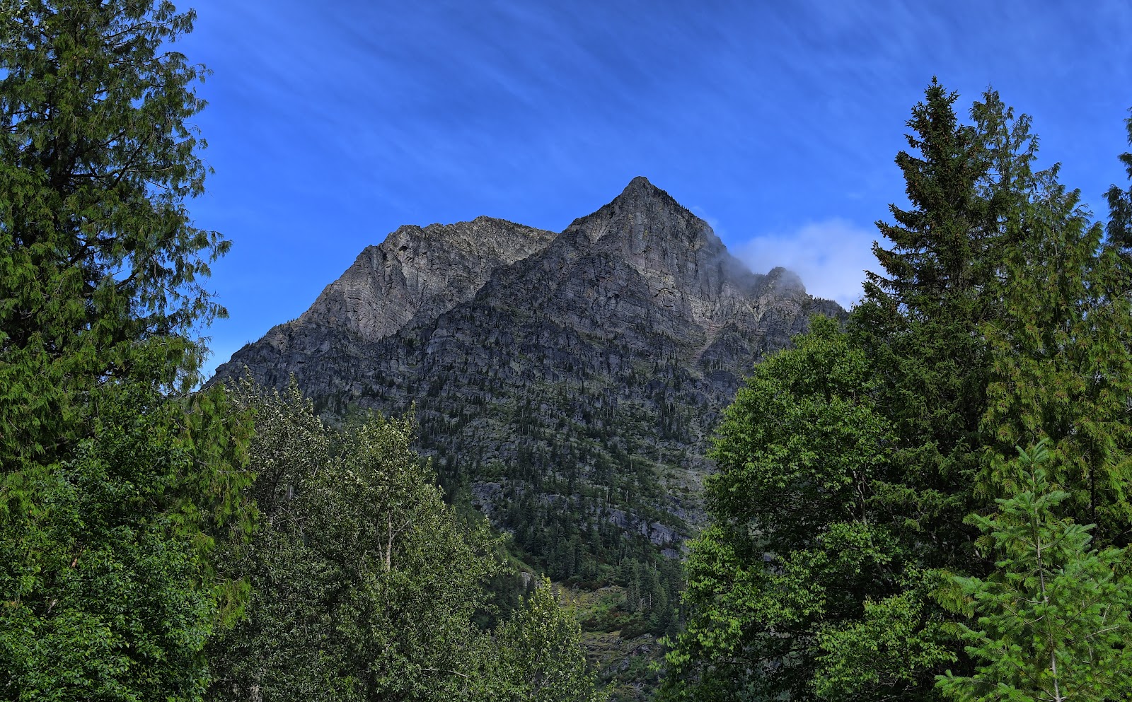Mount Vaught rises above dense forest in Glacier National Park, jagged rock peaks under a clear blue sky.