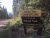 Gravel road winds into a forested area beside a two-tone campground sign in Glacier National Park.