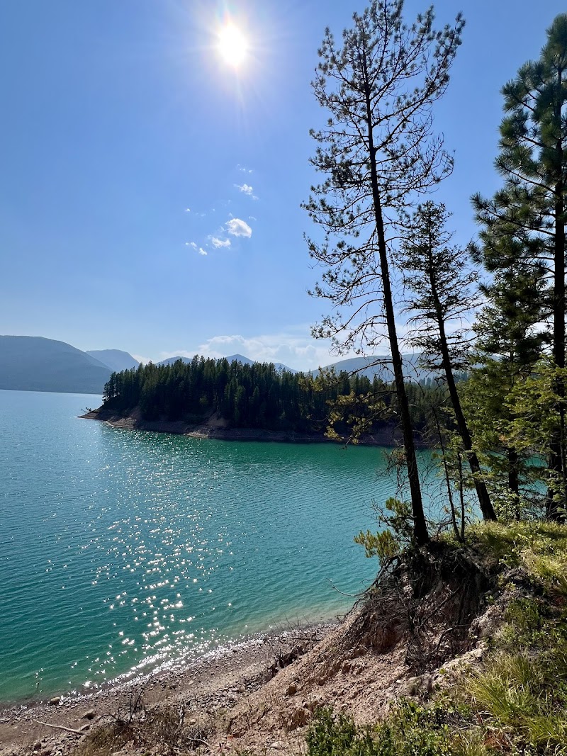 Sunlit turquoise lake with a rocky pebble beach, tall pines on the slope, and a forested island in Glacier National Park.