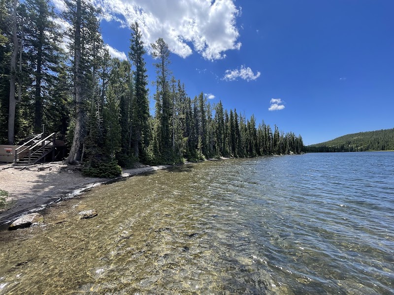 Clear lake with a rocky shore, tall evergreen trees along the bank, and wooden stairs on the left in Yellowstone National Park.