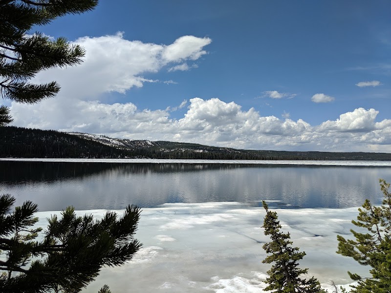 Snowy shoreline and a calm, reflective lake framed by evergreen pines, with a blue sky and distant snow-dusted hills in Yellowstone National Park.