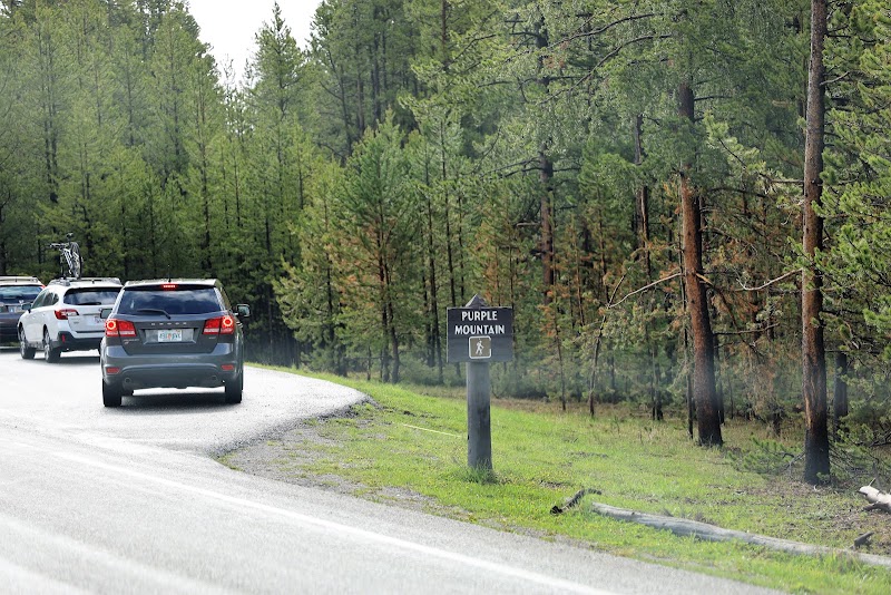 Cars line a paved road beside a dense pine forest as a Purple Mountain Trailhead sign marks Yellowstone National Park.