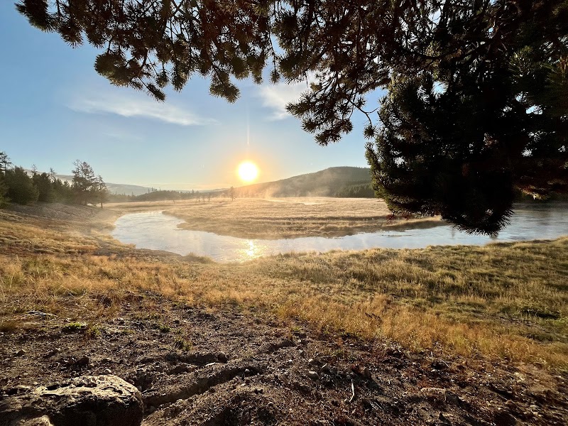 Sunset over a grassy meadow and winding stream in Yellowstone National Park, framed by pine branches and distant hills.