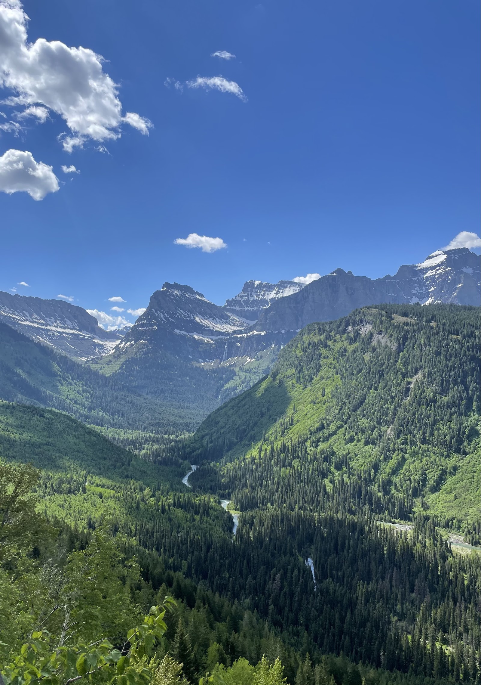 Glacier National Park alpine valley with a winding river, dense evergreen forests, and snow-dusted mountains under a clear blue sky.