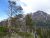 Aster Park Overlook at Glacier National Park offers a view of snow-dusted peaks above a forested valley.