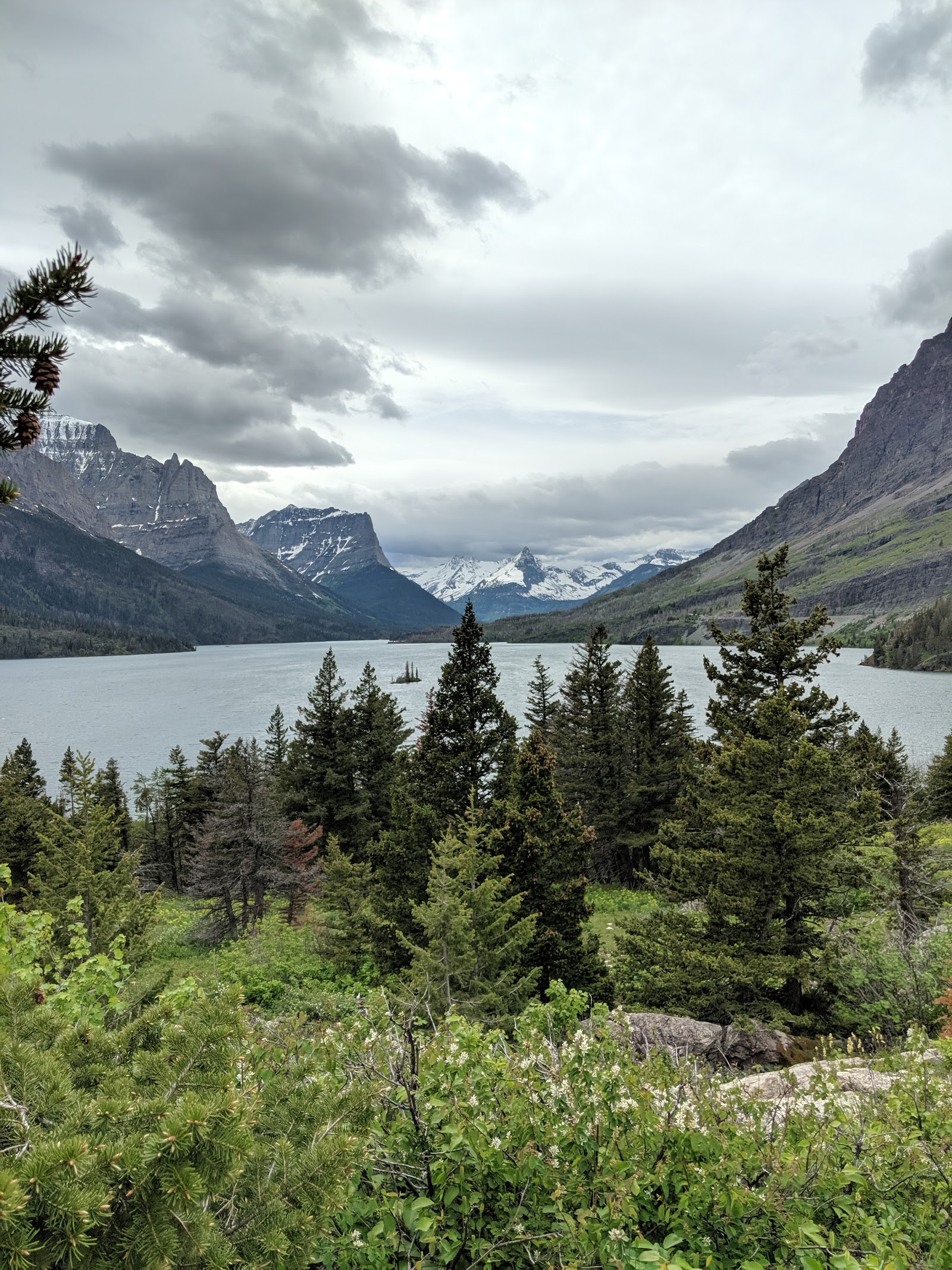 Wild Goose Island Lookout overlooks a pale blue lake, evergreen trees, and snow‑capped peaks in Glacier National Park.