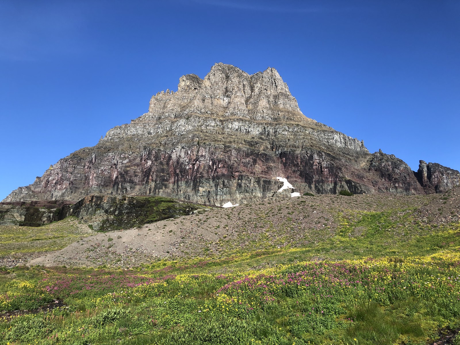 Green meadow speckled with purple and yellow wildflowers sits at the base of a rugged, stratified mountain rising under a bright blue sky in Glacier National Park.