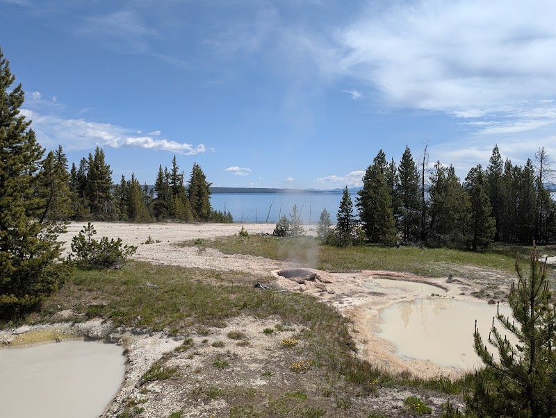 Yellowstone National Park overlook of Yellowstone Lake with pine trees, blue water, rocky shoreline, and steaming mineral pools.