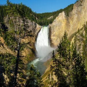 Lower Falls of the Yellowstone