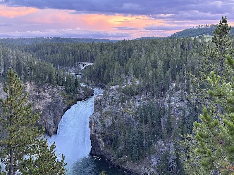 Lower Falls of the Yellowstone cascades through a rocky canyon, surrounded by pine forests and a distant bridge at sunset in Yellowstone National Park.