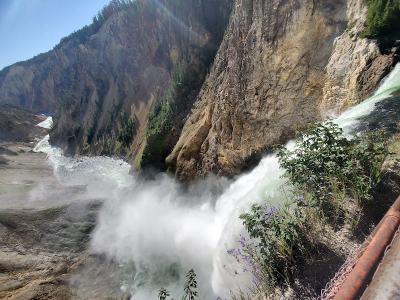 Lower Falls roars from rugged canyon walls, spraying mist beside a railing in Yellowstone National Park.