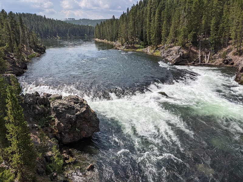 Yellowstone National Park: pine-lined canyon walls overlook a rocky river with whitewater rapids.